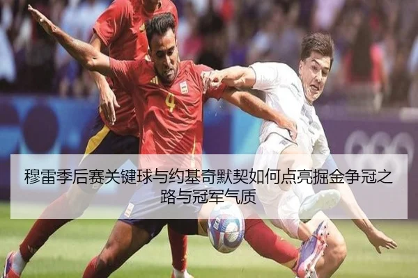 穆雷季后赛关键球与约基奇默契如何点亮掘金争冠之路与冠军气质